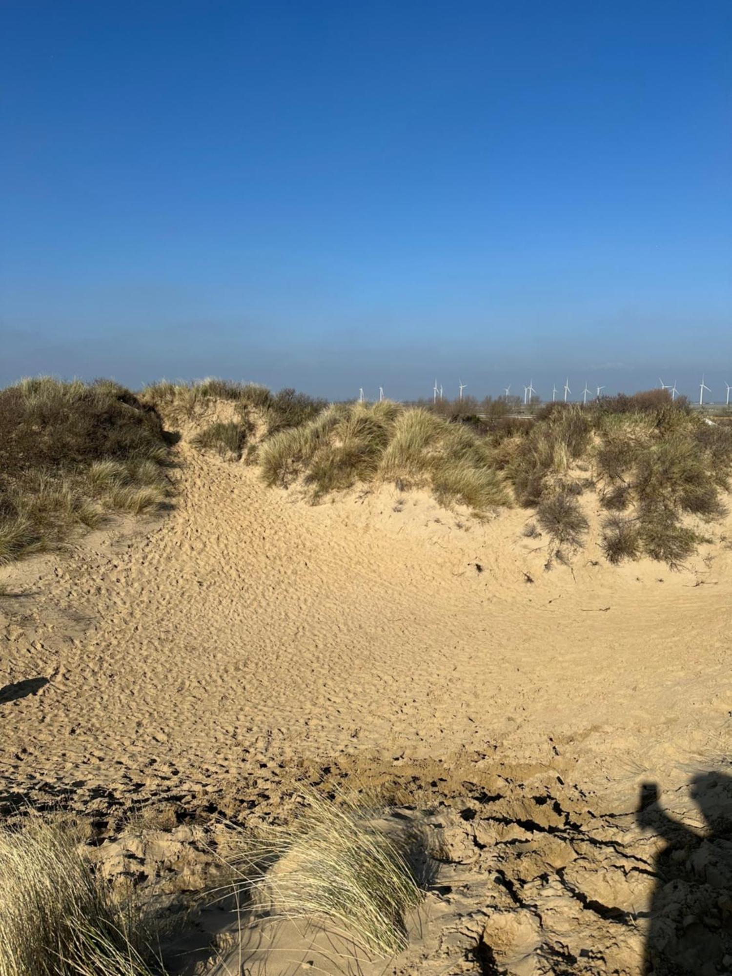 Willerby Castleton,Camber Sands- Sleeps 6 Eksteriør billede